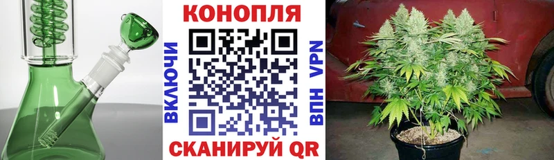Названия наркотиков Суровикино Alpha-PVP COCAIN Псилоцибиновые грибы Конопля ссылка на мегу ONION АМФЕТАМИН ГАШ