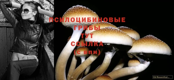 экстази Армянск