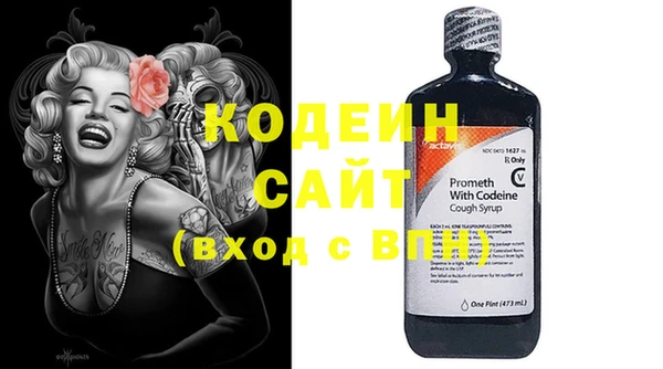 прущий лед Пестово