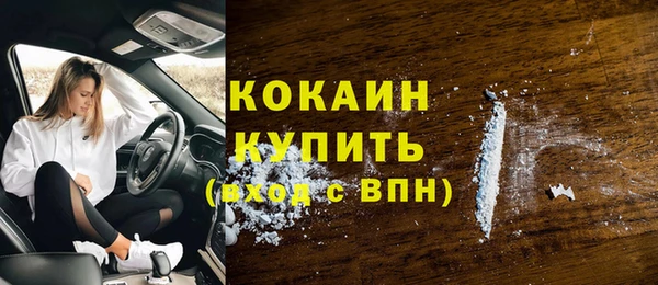 прущий лед Пестово
