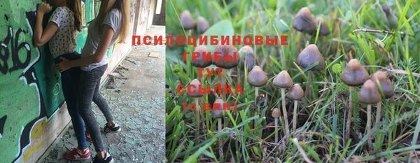 MESCALINE Аркадак
