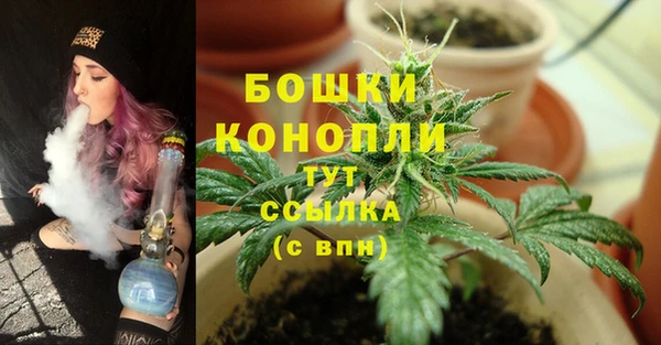 MESCALINE Аркадак