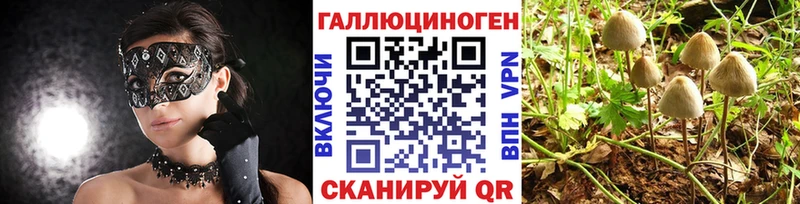 Псилоцибиновые грибы GOLDEN TEACHER  Суровикино 